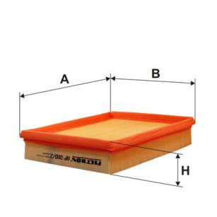 Filtron Filtr powietrza AP 080/2